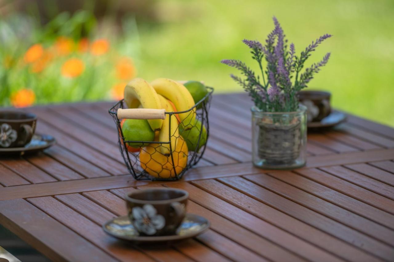 Holiday Home Dide Kanfanar Bagian luar foto